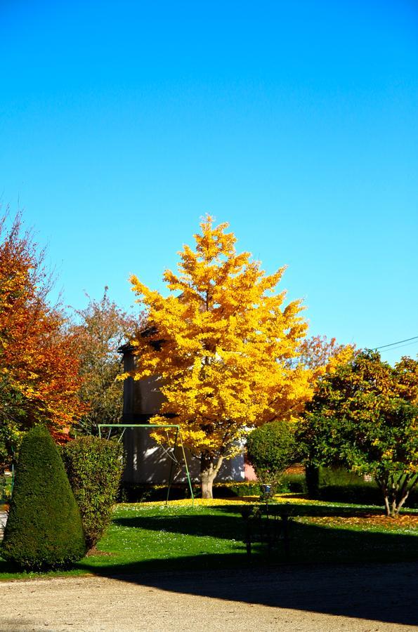 Chateau De Montabert Montaulin Exteriér fotografie